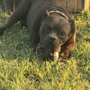 Meet your Posher, Jesse